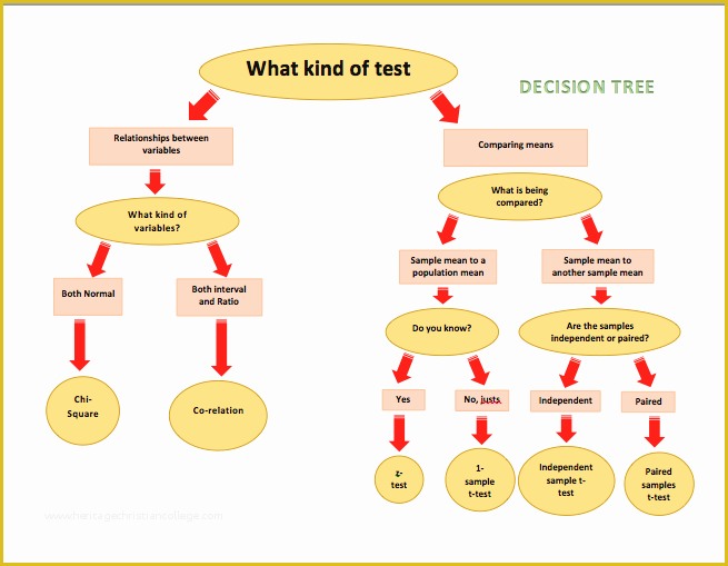 Free Decision Tree Template Excel Of Decision Tree Diagrams Microsoft Word Templates