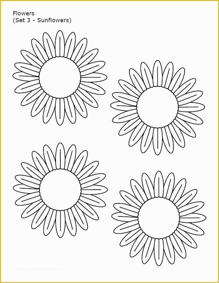 Free Design Templates Of 10 Flower Templates Free Pdf Word Designs