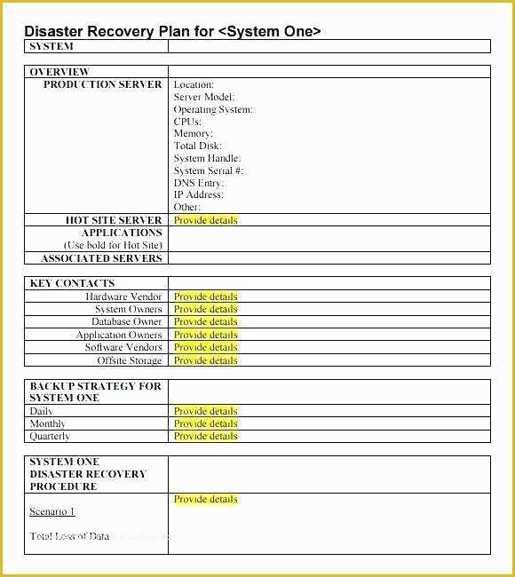 Free Disaster Recovery Plan Template Of Effective Disaster Recovery Plan Templates Template Lab