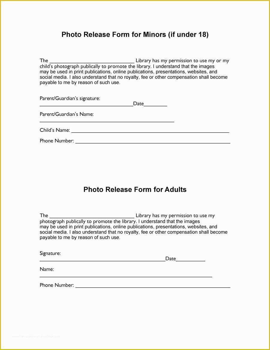 Free Disclaimer Template for Website Of Release form Template