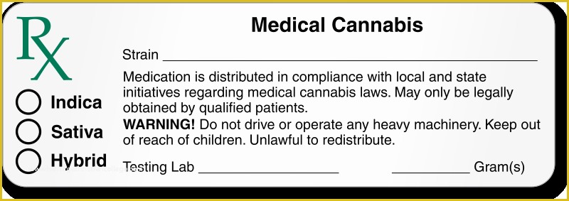 51 Free Dispensary Security Plan Template