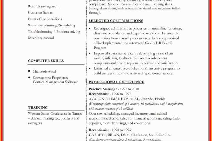 Free Doc Resume Templates Of Resume Word Doc Template