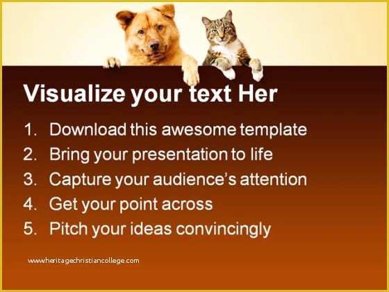 Free Dog Powerpoint Template Of Dog Cat Friends Animals Powerpoint Backgrounds and