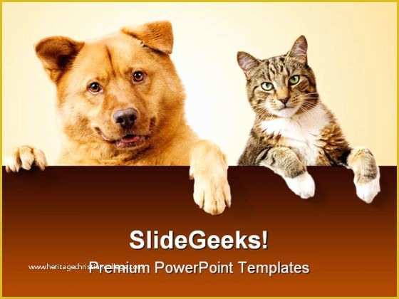 Free Dog Powerpoint Template Of Dog Cat Friends Animals Powerpoint Backgrounds and