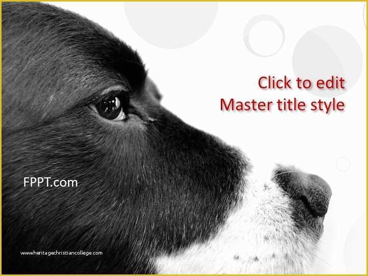 Free Dog Powerpoint Template Of Free Black Powerpoint Templates