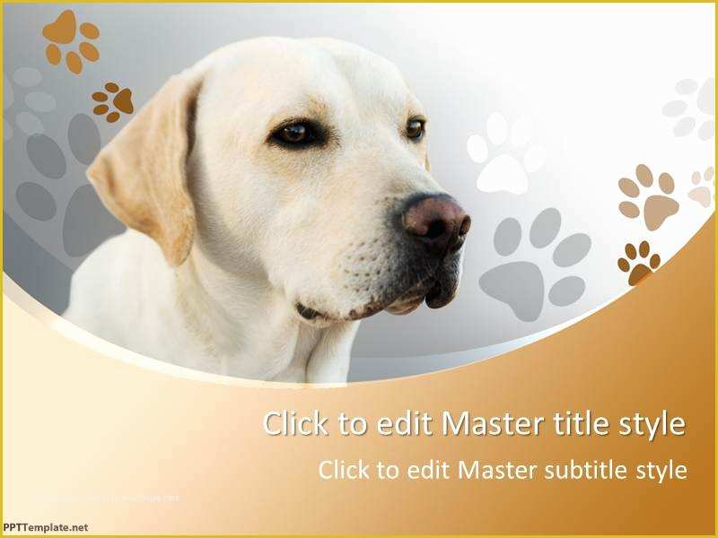 Free Dog Powerpoint Template Of Free Dog Ppt Template