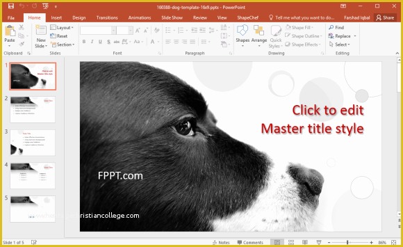 Free Dog Powerpoint Template Of Free Pets Powerpoint Templates