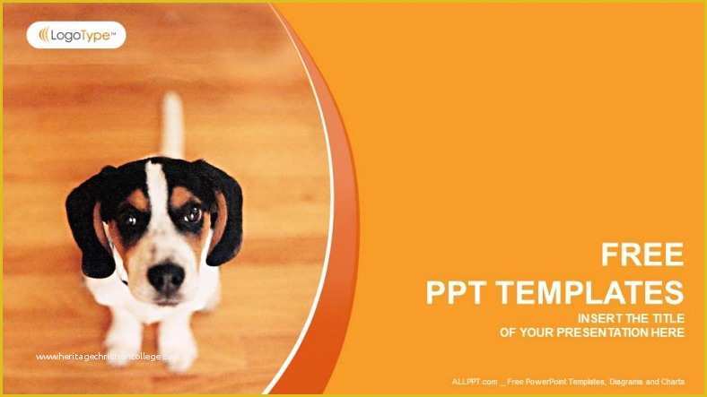 Free Dog Powerpoint Template Of Little Dog Nature Powerpoint Templates