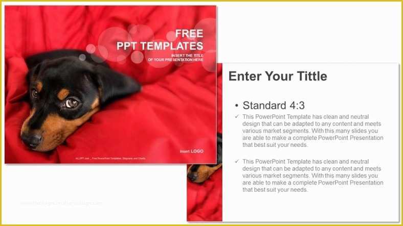 Free Dog Powerpoint Template Of Little Dog Nature Ppt Templates