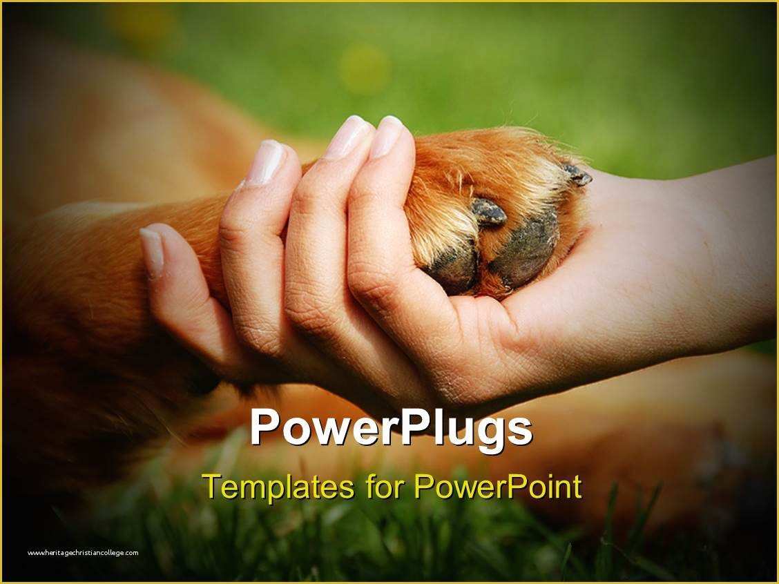 Free Dog Powerpoint Template Of Powerpoint Template A Person Holding the Dog S Paw In His