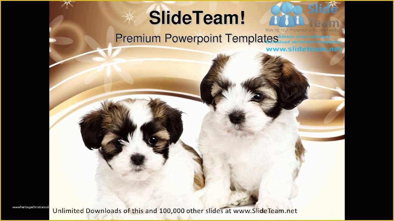 Free Dog Powerpoint Template Of Puppy Dogs Animals Powerpoint Templates themes and