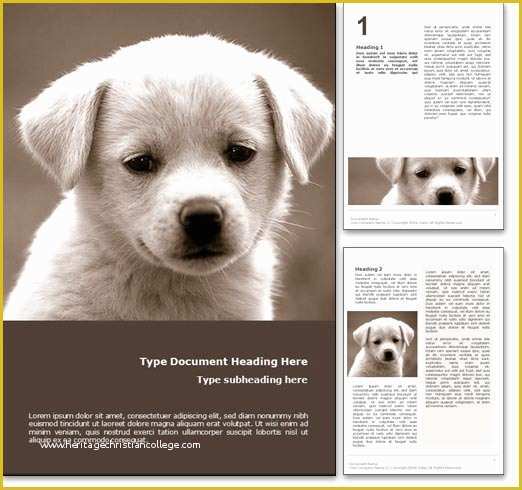Free Dog Powerpoint Template Of Royalty Free Puppy Dog Microsoft Word Template In orange