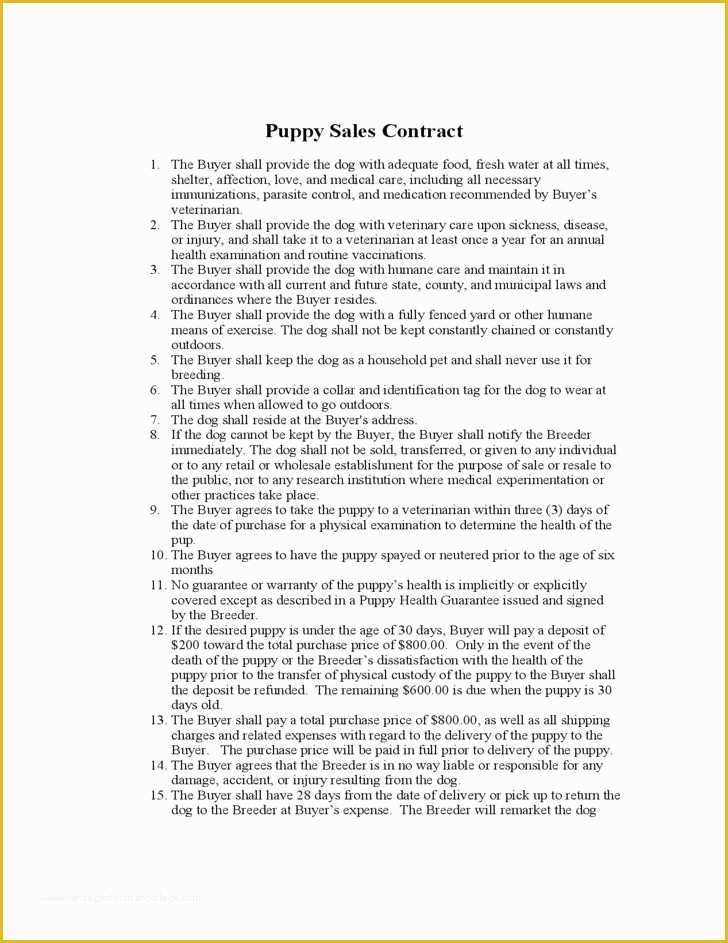 Free Dog Training Contract Template Of 387 Best Whelping Images On Pinterest