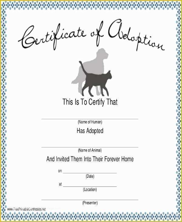 Free Dog Training Contract Template Of Dog Certificate Template 9 Free Pdf Documents Download