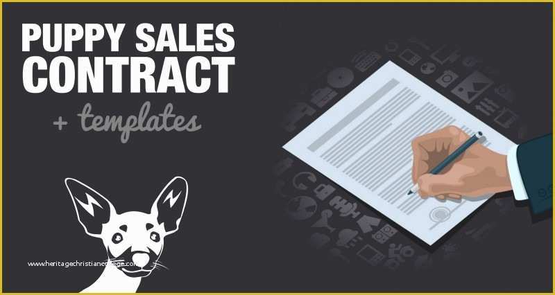 Free Dog Training Contract Template Of Free Puppy Sales Contract Template & Word Doc Sample
