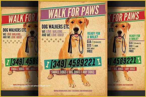 Free Dog Walking Templates Of Dog Walkers Flyer Template 2 Flyer Templates On Creative