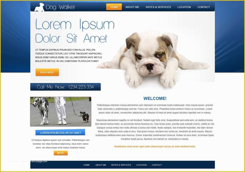 Free Dog Walking Templates Of Dog Walking Website Template