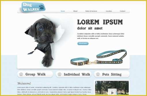 Free Dog Walking Templates Of Dog Walking Website Templates