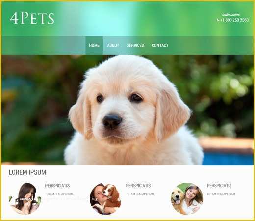 Free Dog Website Templates Of 20 Free Responsive and Mobile Website Templates Bittbox