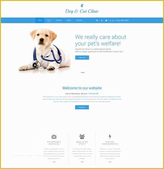 Free Dog Website Templates Of 40 Best Animal Pet Website Templates Free &amp; Premium