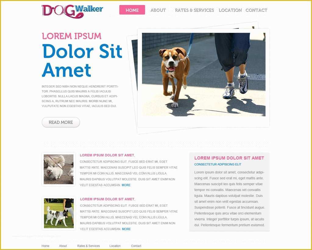 Free Dog Website Templates Of Dog Walker Website Template