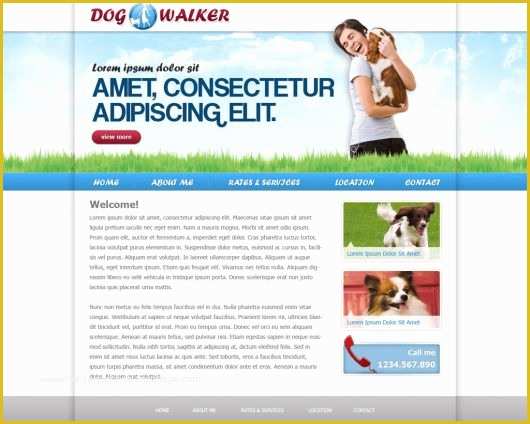 Free Dog Website Templates Of Dog Walking Website Template