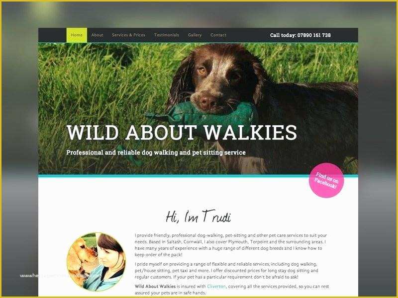 Free Dog Website Templates Of Dog Walking Website Template Pet Templates Free Download