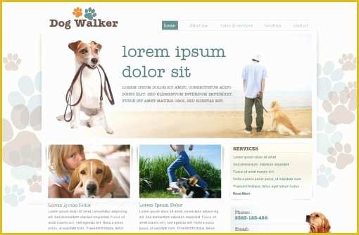 Free Dog Website Templates Of Dog Walking Website Templates