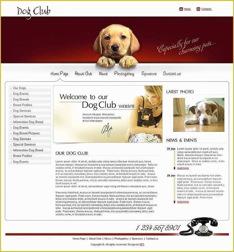 Free Dog Website Templates Of Free Dog Club Website Template