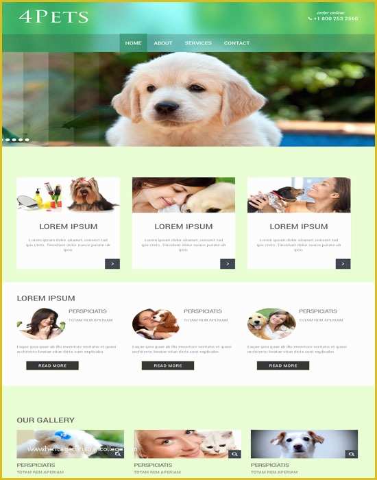 Free Dog Website Templates Of Free Website Templates for Dog Breeders 57 Awesome Animal