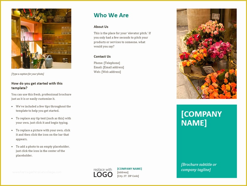 54 Free Downloadable Brochure Templates for Word