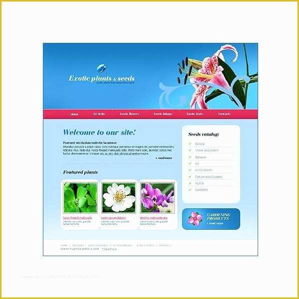 Free Dreamweaver Templates Of where to Find Dreamweaver Templates