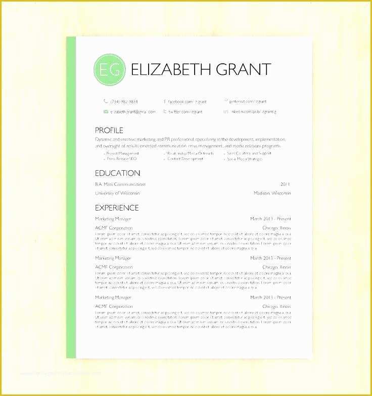 Free Dynamic Resume Templates Of Dynamic Resume Templates Dynamic Resume Templates Creative