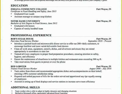 Free Dynamic Resume Templates Of Dynamic Resume Templates Dynamic Resume Templates Creative