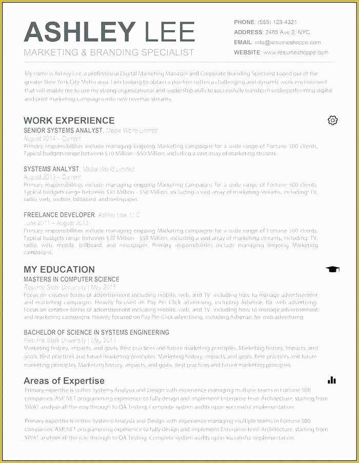 Free Dynamic Resume Templates Of Free Resume Templates Dynamic Resume Templates Template