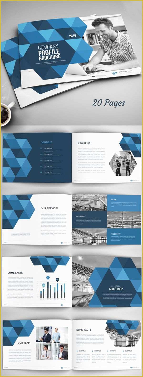 Free E Brochure Design Templates Of 20 Pages Annual Report Pany Profile Brochure Template