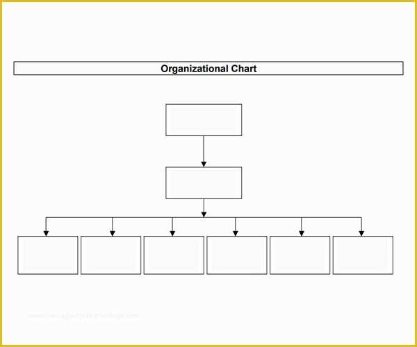 Free Easy organizational Chart Template Of 10 organizational Chart Template Download Free