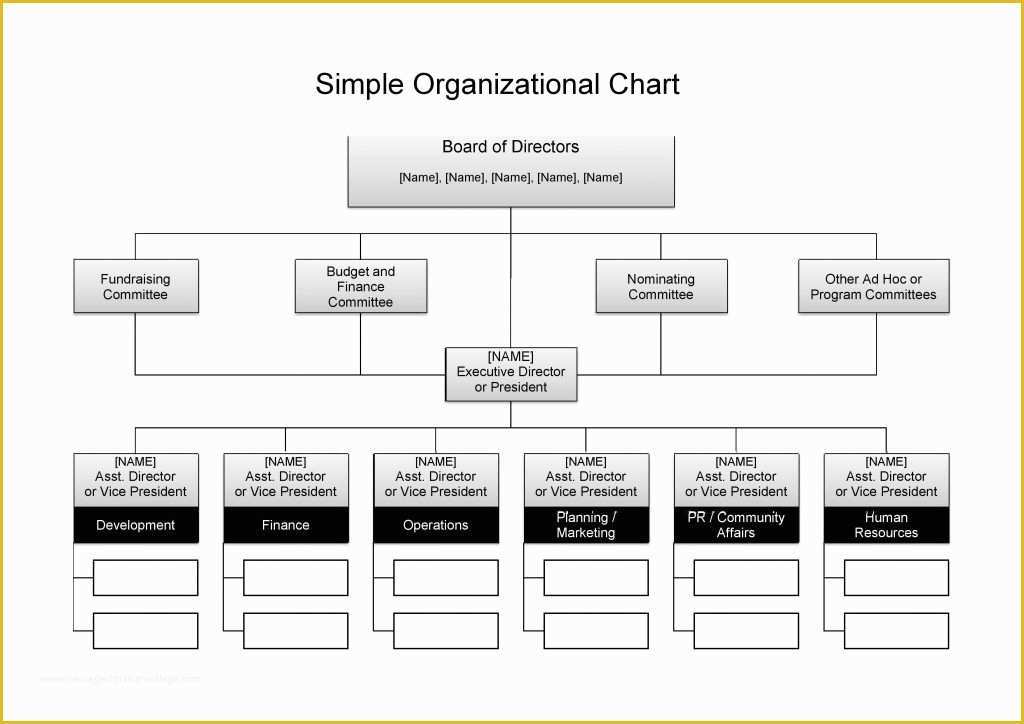Free Easy organizational Chart Template Of 25 Best Free organizational Chart Template In Word Pdf Excel
