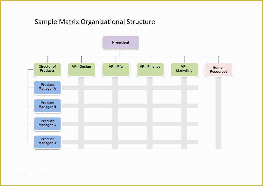 Free Easy organizational Chart Template Of 25 Best Free organizational Chart Template In Word Pdf Excel