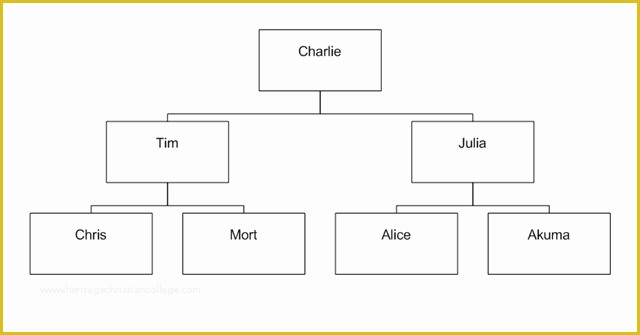 Free Easy organizational Chart Template Of Chart Blank organizational to Pin On Pinterest
