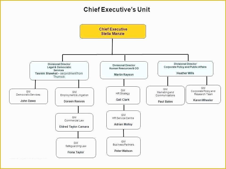 Free Easy organizational Chart Template Of Functional organizational Chart Template Cross Functional