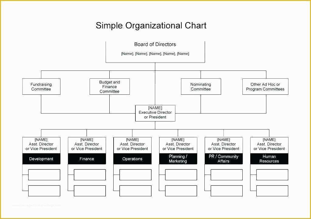 Free Easy organizational Chart Template Of Mittee organization Chart Template – Ooojo