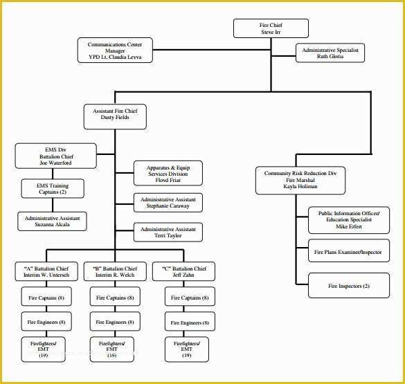 50 Free Easy organizational Chart Template