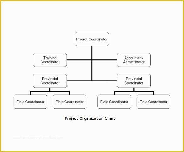 Free Easy organizational Chart Template Of Sample Project organization Chart 11 Free Documents In