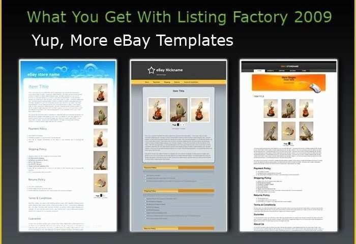 Free Ebay Templates Of Ebay Seller Feedback Template Templates Resume