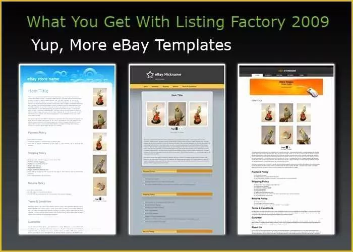 56 Free Ebay Templates