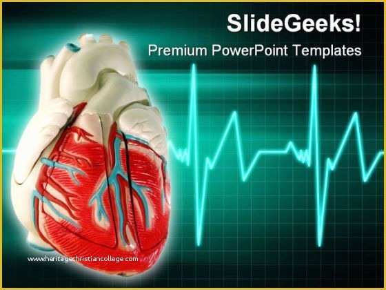 Free Ecg Powerpoint Templates Of Free Cardiac Powerpoint Templates