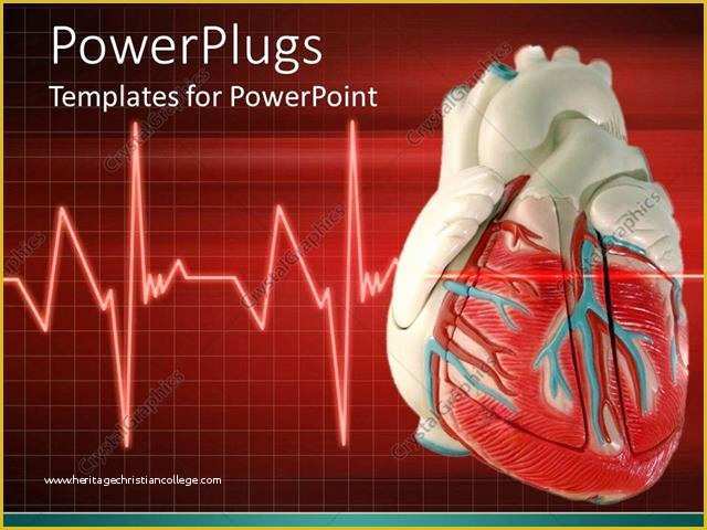 Free Ecg Powerpoint Templates Of Powerpoint Template A 3d Heart with An Eco Cardiogram