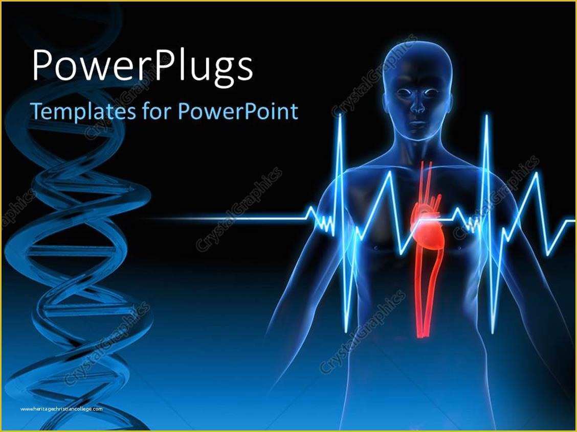 Free Ecg Powerpoint Templates Of Powerpoint Template Anatomy Depiction Of A Human Heart
