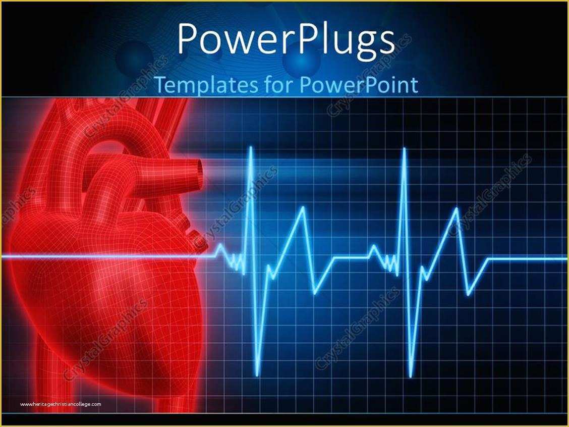 Free Ecg Powerpoint Templates Of Powerpoint Template Anatomy Depiction Of A Human Red